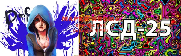 PSILOCYBIN Абинск
