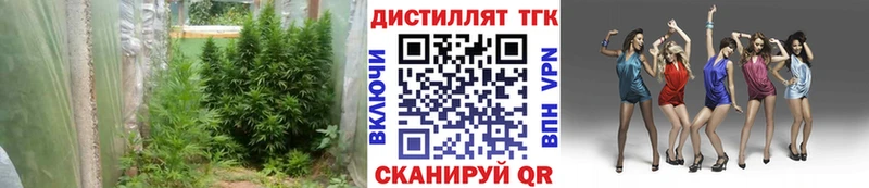 Дистиллят ТГК Wax  Ленинградская 