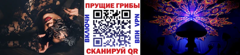 Псилоцибиновые грибы мицелий  где продают   Ленинградская 